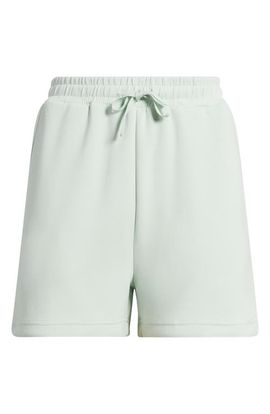 Bernardo Bernardo Knit Shorts