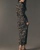 BHLDN Long-Sleeve Panel Mesh Maxi Dress - 4