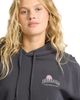 Billabong Billabong Always Lucky Graphic Pullover Hoodie - 4