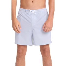 Billabong Billabong Flip Garage LB Board Shorts