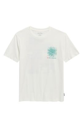 Billabong Billabong Kids' Montage Cotton Graphic T-Shirt
