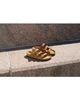 Birkenstock Birkenstock Women's Florida Fresh Leather Sandals - 5