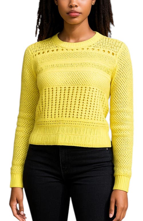 Bishop + Young Bishop + Young Good Sport Pointelle Sweater