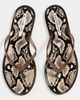 Black Suede Studio Black Suede Studio Crystal Jelly Flip Flops Snake/Brown - 5