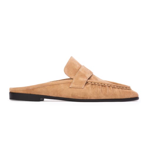 BLACK SUEDE STUDIO BLACK SUEDE STUDIO Gabby Suede Backless Loafer