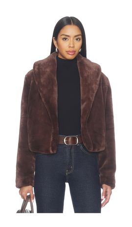 BLANKNYC BLANKNYC Faux Fur Teddy Coat
