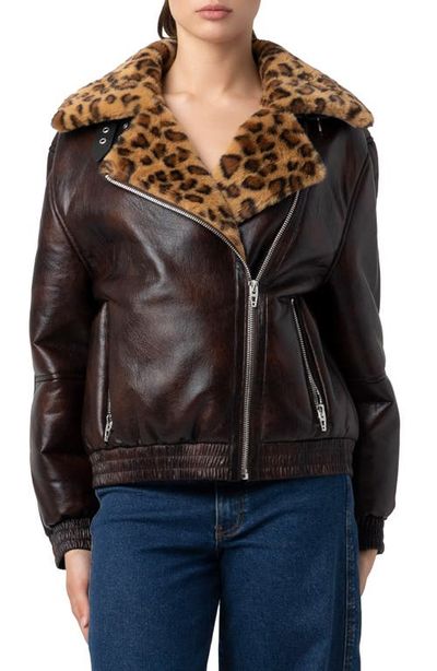 BLANKNYC BLANKNYC Faux Leather & Faux Shearling Moto Jacket