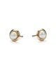 Bloomingdale's Fine Collection Bloomingdale's Fine Collection Cultured Freshwater Pearl Polished Frame Stud Earrings in 14K Yellow Gold - 4