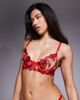 Bluebella Bluebella Lavanya floral embriodered bra in red - 4
