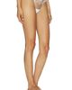 BLUEBELLA BLUEBELLA Marisa Brief - 2