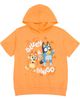 BLUEY BLUEY 2-Piece Hooded Tee and Joggers Set - 3