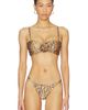 BOAMAR BOAMAR Makis Bikini Top - 2