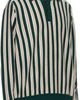 Bode Bode Green & Off-White Hogan Stripe Polo - 2