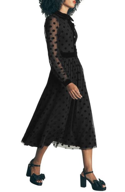 Boden Boden Contrast Detail Tulle Dress