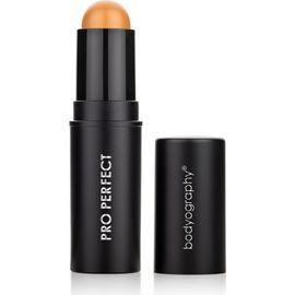 Bodyography Bodyography Pro Perfect Foundation Stick Wheat -Light/Med Golden 0.31oz