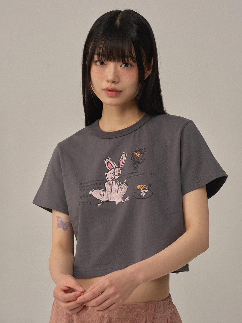 BONATS PALETTE Front Graphic Print Crop T-shirt [CHARCOAL]