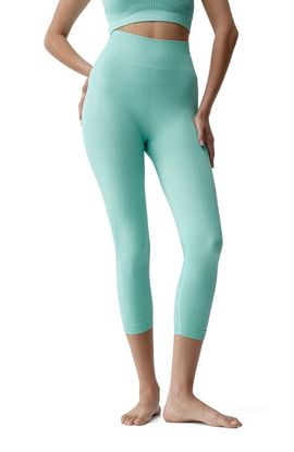 Born Living Yoga Born Living Yoga Eris Seamless Capri Sports Legging