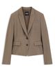 BOSS BOSS Jia Single Button Blazer - 4