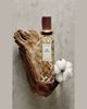 Bottega Veneta Bare Morning Eau de Parfum, 1.7 oz. - 4