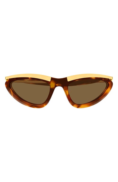 Bottega Veneta Bottega Veneta BV1477S Cat Eye Sunglasses