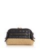 Bottega Veneta Bottega Veneta Concert Pouch Raffia & Intrecciato Leather Shoulder Bag - 5