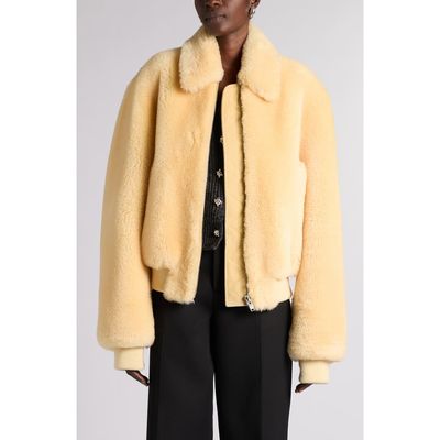Bottega Veneta Bottega Veneta Genuine Shearling Blouson Jacket
