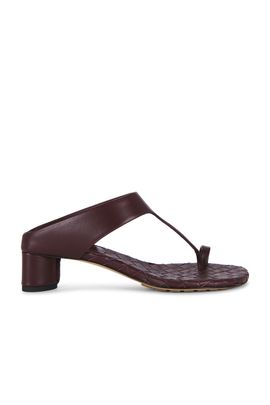 Bottega Veneta Bottega Veneta Livia Kitten Heel Thong Sandal
