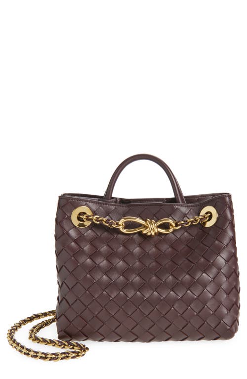 Bottega Veneta Bottega Veneta Small Andiamo Chain Leather Shoulder Bag