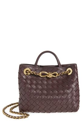 Bottega Veneta Bottega Veneta Small Andiamo Chain Leather Shoulder Bag