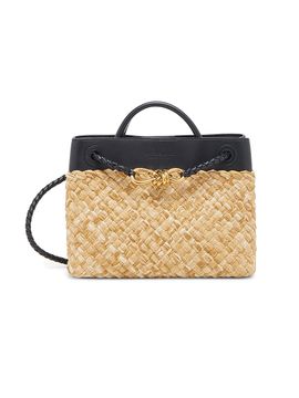 Bottega Veneta Women's Andiamo Small Leather & Raffia Top Handle Bag