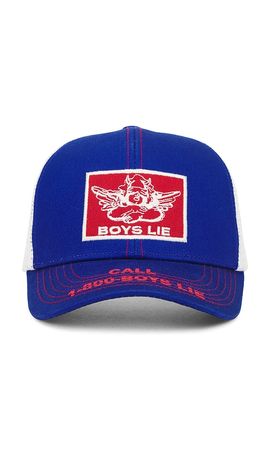 Boys Lie - Saguaro Hat