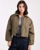 Brave Soul Brave Soul short padded bomber jacket with collar in khaki-Green - 2