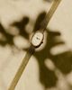 BREDA BREDA Jane Tethered Mesh Bracelet Seiko Quartz 18MM Watch in Gold And Metal, Women's at Urban Outfitters - 5