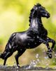 Breyer Breyer Horses The Traditional Series Amberley Snyder's - 5