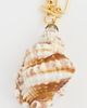 Brinker + Eliza Brinker + Eliza Augusta Necklace Gold/Shell One - 5