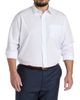 Brooks Brothers Brooks Brothers Big & Tall Non-Iron Striped Dress Shirt - 2