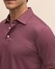 Brooks Brothers Brooks Brothers Performance Microprint Polo - 3