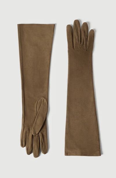 Brunello Cucinelli Brunello Cucinelli Suede long gloves