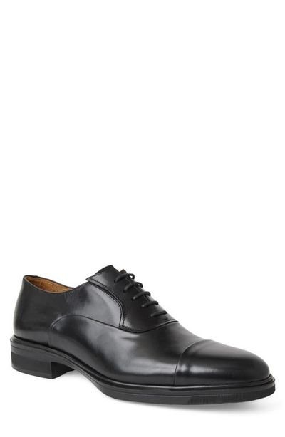 Bruno Magli Bruno Magli Aero Porto Cap Toe Oxford