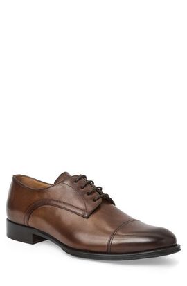 Bruno Magli Bruno Magli Borgo Cap Toe Derby