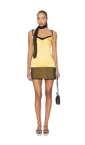 BUCI BUCI Chinchilla Mini Dress