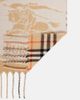 Burberry Burberry Burberry Check reversible cashmere scarf - 5