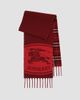 Burberry Women's Check Cashmere Reversible Scarf - 2