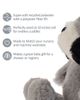 BUTTERBLU BUTTERBLU Deano the Dino Snuggle Buddy Plush Toy - 3