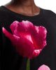 C By Bloomingdale's Cashmere C by Bloomingdale's Cashmere Large Floral Crewneck Cashmere Sweater - 4