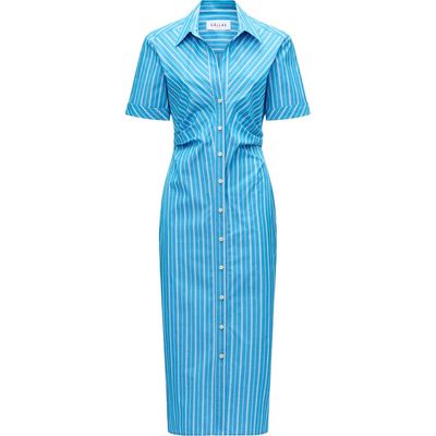 Callas Milano Callas Milano LOU Fitted shirt dress Blue Stripe 