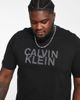 Calvin Klein Calvin Klein Big & Tall distorted logo T-shirt in black - 2