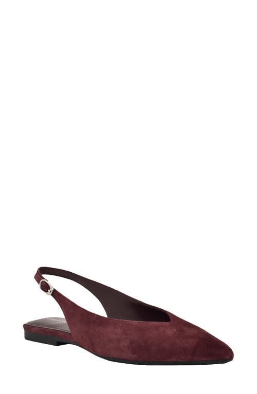 Calvin Klein Calvin Klein Galiana Slingback Pointed Toe Flat