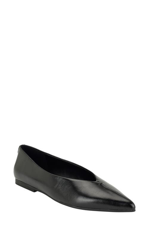 Calvin Klein Calvin Klein Gemeen Pointed Toe Flat