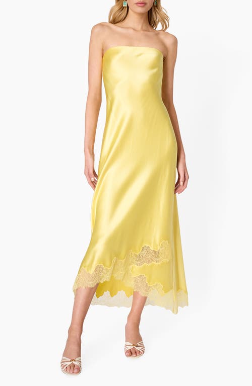 CAMI NYC CAMI NYC Alexandria Strapless Lace Hem Midi Dress